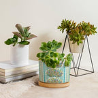 Chinoiserie French Cairo Planters Ceramic Green and Blue Peacock Feathers Round Flower Pots with Drainage Holes and Bamboo Tray Pot for Succulents Cactus Garden Windowsill - Image 4