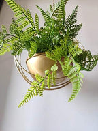 RISEON Boho Gold Metal Plant Hanger,Metal Geometric Hanging Planter, Modern Planter, Mid Century Air Plant Holder Stand, Minimalist Planter for Indoor Outdoor Home Wedding Decor (Gold) - Image 4