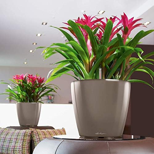Lechuza Classico 35 LS Self Watering Planter Garden Flower Plant Pot Indoor/Outdoor Floor Planter with Drainage Hole and Plant Substrate Poly Resin D35 H33 cm Espresso Metallic - Image 5
