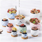 Flower Pot Ceramic Flower Planter Pots with Drain Hole Marble Pattern Modern Succulents Containers for Home Decor Indoor Flower Plant Pots Gardening Containers，Roze-C - Image 6