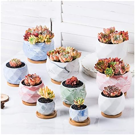Flower Pot Ceramic Flower Planter Pots with Drain Hole Marble Pattern Modern Succulents Containers for Home Decor Indoor Flower Plant Pots Gardening Containers，Roze-C - Image 6