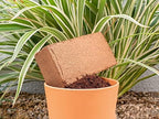 Envelor Coco Coir Brick 1.5 Lb Coconut Fiber Indoor Plant Soil 3 Pack - Image 2