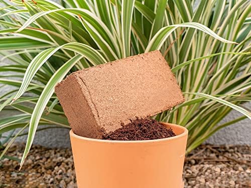 Envelor Coco Coir Brick 1.5 Lb Coconut Fiber Indoor Plant Soil 3 Pack - Image 2