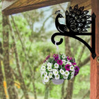 peacoblue Peacock Plant Hanger Bracket, Iron Outdoor Hanging Hook - Image 4