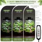 Maxdot Glass Terrarium Kit with LED Grow Light for Desktop,6.9 x 7.8 Inch - Image 4