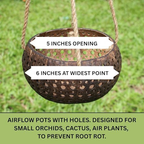 Set of 3 Hanging Orchid Pots for Small Orchids, Handmade Coconut Planters, Orchid Pots with Holes, Coconut Planters, Orchid Gifts - Image 5