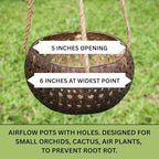 Set of 3 Hanging Orchid Pots for Small Orchids, Handmade Coconut Planters, Orchid Pots with Holes, Coconut Planters, Orchid Gifts - Image 5