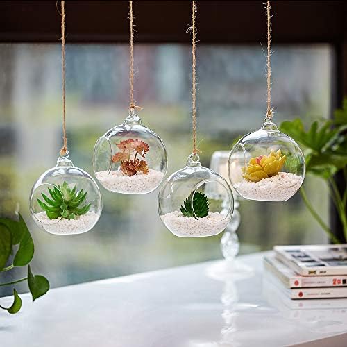 NUPTIO Hanging Glass Terrarium Globes, 12 Pcs, 4 Inch - Image 5