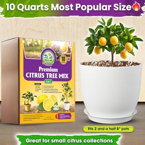 DUSPRO Pre-Mixed 4in1 Ready to Use Citrus Tree Potting Soil Mix, 10QRT - Image 6