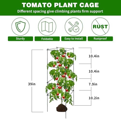 6 Packs Tomato Cages for Garden, 12"×12"×39" Plant Support Cage with Different Spacing, Green Metal Trellis for Climbing Plants Like Cucumber, Flowers - Image 2