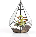 NCYP Hanging Glass Geometric Terrarium for Succulent - 6.8" x 6.8" x 8.6" Indoor Teardrop Shape Plants Planter, Tabletop Decorative Centerpiece, Black Container, Opening, Handmade (No Plants) - Image 6