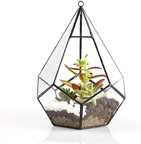 NCYP Hanging Glass Geometric Terrarium for Succulent - 6.8" x 6.8" x 8.6" Indoor Teardrop Shape Plants Planter, Tabletop Decorative Centerpiece, Black Container, Opening, Handmade (No Plants) - Image 6