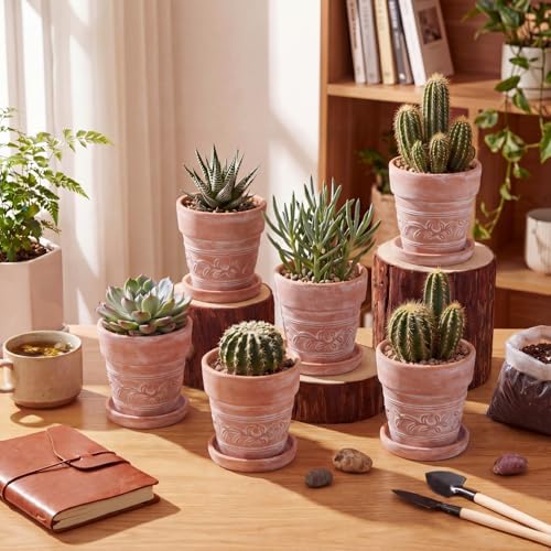 Maxdot Set of 6 Embossed Succulent Pots 4" Small Terracotta Pot, Leaf Style - Image 6