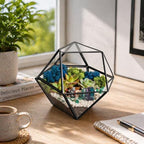 Creations by Nathalie DIY Geometric Glass Terrarium Kit with Moss and Tools by CreationsbyNathalie
