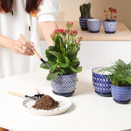 Selamica Ceramic Plant Pots, 4.6 Inch Flower Pots for Indoor Plants, Succulent Pots with Drainage Hole & Saucer, Succulent Planters for Succulent Cactus, Home Decor, Set of 4, Vintage Blue - Image 5