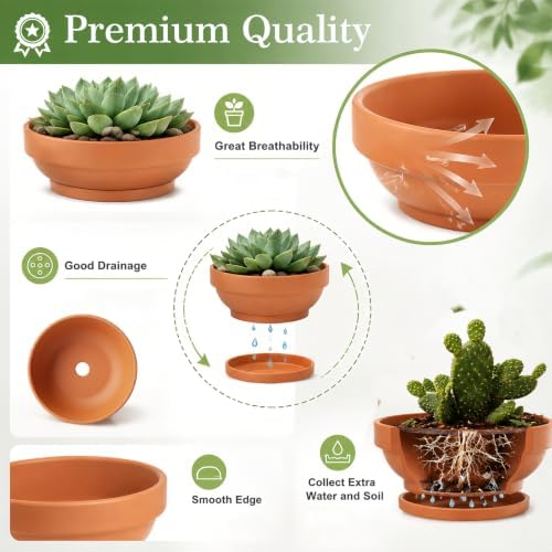 Laerjin Terracotta Pots with Saucers, 7.67 Inch Shallow Planters, 4 Pack - Image 4