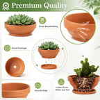 Laerjin Terracotta Pots, 6.43 Inch Shallow Planters with Saucers, 6 Pack - Image 4