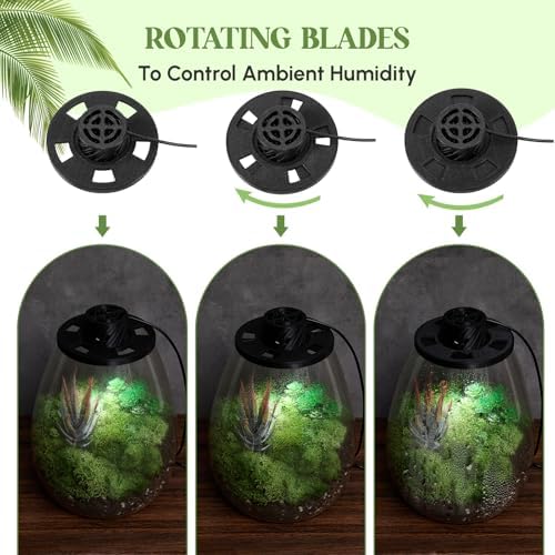 Maxdot Glass Terrarium Kit with LED Grow Light for Desktop,6.9 x 7.8 Inch - Image 3