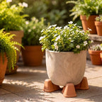 LemonRoad 12 Set Terra Cotta Cement Pot Feet for Outdoor Planters, Funny - Image 5