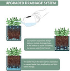 D'vine Dev 6-Pack Plastic Herb Planter Pots, 4 in, Green, 76-Y-C-1 - Image 5