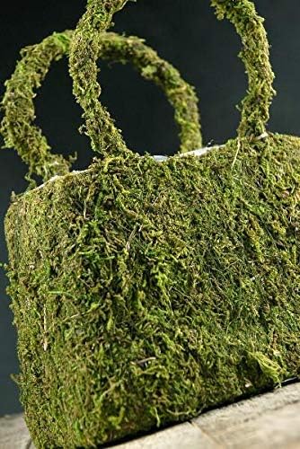 Richland Natural Preserved Moss Covered Purse Planter 8.75" Set of 6 by Richland