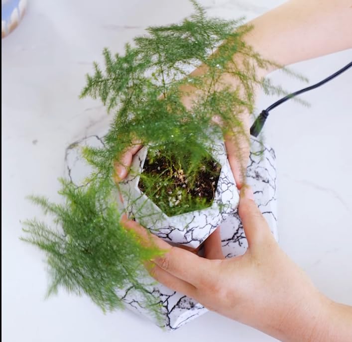 MOOCCI Floating Plant Pot, Levitating Plant Pot for Succulents - Image 4