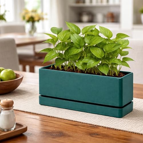 D'vine Dev Rectangular Planter, 12 x 4.5 in, Green, Set of 1, 76-X-C-1 - Image 5