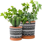D'vine Dev 2-Pack Terracotta Pots, 4/6 in, Terra/Black, 31-958-D-2 - Image 2