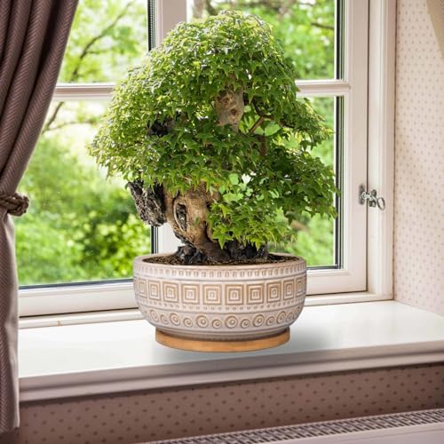 G EPGardening 8 Inch Ceramic Succulent Planter Pots for Indoor Plants Round Shallow Bonsai Planter Pot with Drainage and Bamboo Saucer White - Image 6