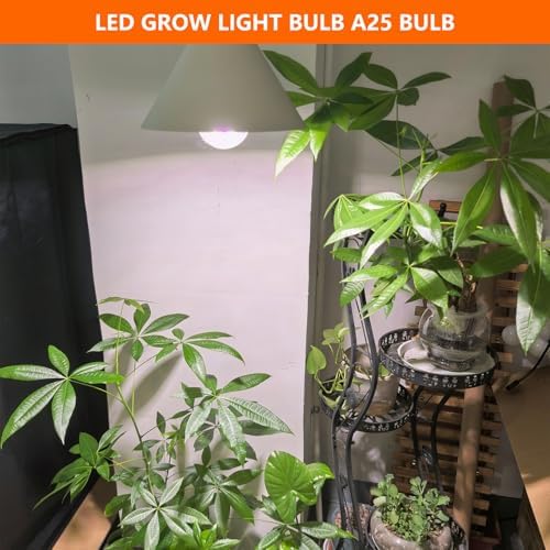 A25 LED Grow Light Bulb - 15W (150W Equivalent), Full Spectrum, E26 Base for Indoor and Outdoor Plants - Plus Size Bulb (6-Pack) - Image 6