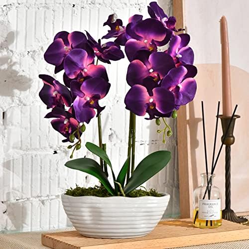 Large Artificial Orchid Arrangement in Oval Ribbed Ceramic Pot, Dark Purple by YSZL