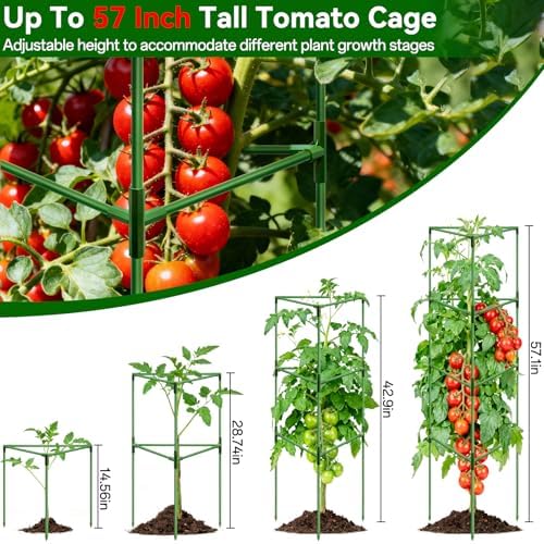Halatool 4 Pack 57" Tall Tomato Cages for Garden, Heavy Duty Tomato Trellis - Image 4