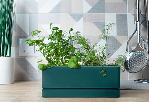 D'vine Dev 2-Pack Rectangular Planters, 12 x 4.5 in, Green, 76-X-C-2 - Image 3