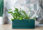 D'vine Dev 2-Pack Rectangular Planters, 12 x 4.5 in, Green, 76-X-C-2 - Image 3