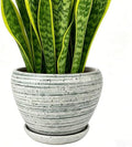 Deep Dream 8 Inch Plant Pots- Ceramic Pots for Plants with Drainage Hole and Saucer, Large Planter Pot for Indoor Plants Outdoor Decor, Brushed Green by DeepDream