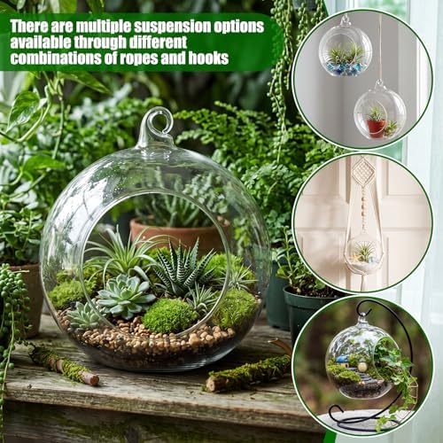 SiliFine 5 Pack Varied Sizes Hanging Glass Terrarium Planter 2.36" to 5.91" - Image 4