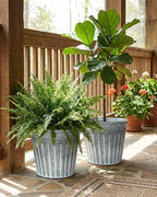 11 Inch Galvanized Planters, 3 Pack Metal Plant Pots with Drainage Hole - Image 6