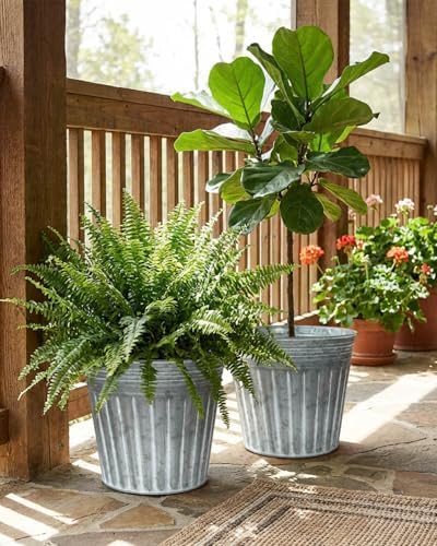 11 Inch Galvanized Planters, 3 Pack Metal Plant Pots with Drainage Hole - Image 6