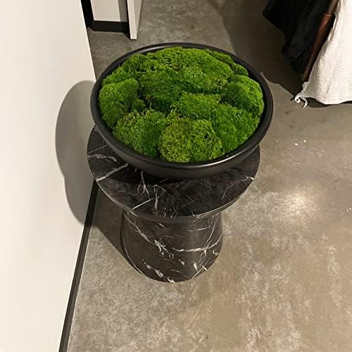 Preserved Pole Moss Pillow Bun Cushion Natural Green Decorative Real Natural Green DIY Kit Terrariums Gardenning Art Wall Decor Florist Decor Easter Table Decor Wedding(9.0 sq.ft., Green-B) - Image 4