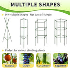 TCBWFY 6-Pack 48-Inch Adjustable Tomato Cages, Heavy-Duty Metal Plant Support Trellis for Garden and Pots, DIY Tomato Stakes, Height Adjustable 16 to 288 Inches - Image 6