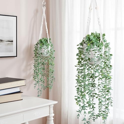DREAMLOOM 2 Packs Fake Hanging Plants with Pots, Artificial Eucalyptus Hanging Plants with Macrame Hanger for Indoor Decor, Fake Hanging Vines Faux Greenery for Home Kitchen Office - Image 2