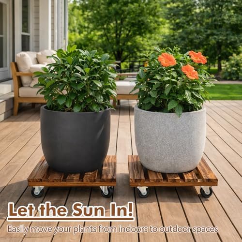 16 Inch Plant Caddy with Wheels, 4 Pack Rolling Plant Stand Rollers with Casters Wooden Plant Dolly with Wheels Heavy Duty Large Rolling Planter Base for Indoor & Outdoor Plants Square Flower Stand - Image 4