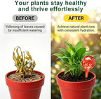 Self Watering Globes,6 Pack Plant Watering Globes,Plant Water Bulbs - Image 4