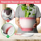 8 Inch Ceramic Plant Pot, Pink + White - Image 4