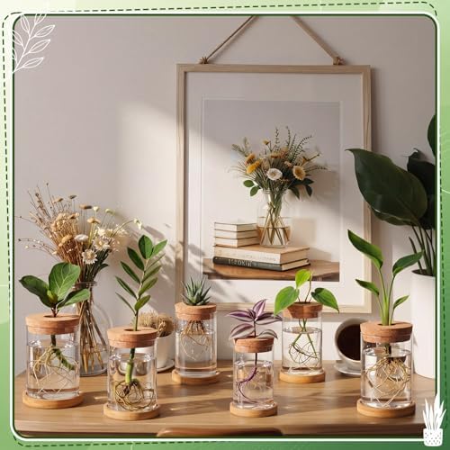 Hushee 12 Pcs Plants Propagation Stations Glass Propagation Jars with Hole Lid Hydroponic Terrarium Vases Gifts for Plant Lovers Home Indoor Office Tabletop Decoration, 2 Sizes - Image 6