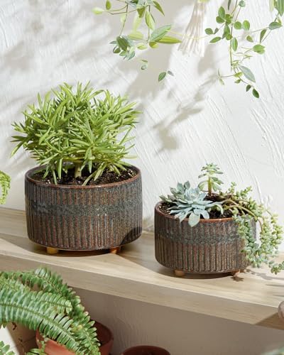 LE TAUCI Succulent Pots, 6.5+8 Inch Ceramic Pots for Plants Indoor, Shallow Round Succulent Planters with Drainage Hole, Set of 2, Reactive Glaze Black - Image 2