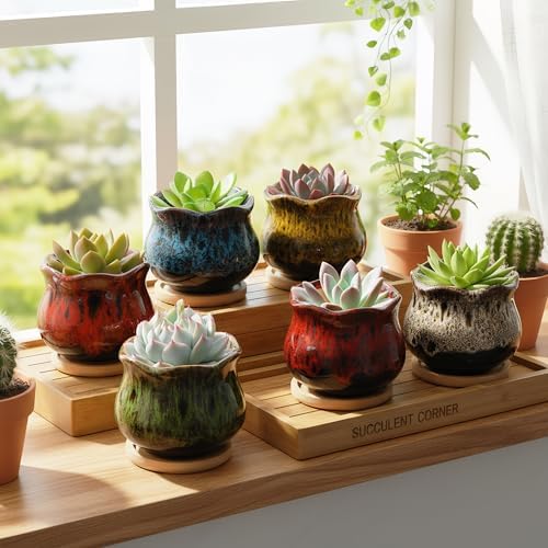 TOPZEA Set of 6 Succulent Plant Pots, 4 Inch Glazed Ceramic Cute Plant Pots with Drainage and Saucer, Mini Bonsai Planter Small Cactus Flower Pots for Indoor Outdoor Use (Pack of 2) - Image 6