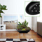 JAPCHET 12 PCS Oval Bonsai Training Pots, Plastic Pots with Drainage Holes Oval Nursery Pot for Home, Garden and Hotel, 15 x 11.4 x 3.5 in, Black - Image 7