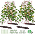 DoCred 39.4" H Cucumber Trellis, 2 Pack Foldable A Frame Garden Trellis by DoCred
