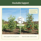 Vego Garden 4 Pack 11.5" Square Tomato Cage for Garden & Pots, Rust-Resistant Tomato Stakes Heavy Gauge Plant Cage Trellis Support for Climbing Vegetables Plants - Image 6